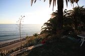 Enlarge photo 59