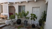 Enlarge photo 109