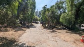 Enlarge photo 119