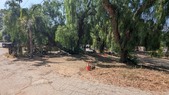 Enlarge photo 120
