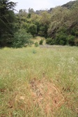 Franklin Canyon