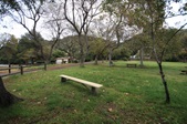 Enlarge photo 34
