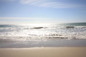 Enlarge photo 35