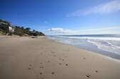 Enlarge photo 37