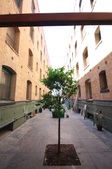 Enlarge photo 40