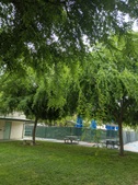 Enlarge photo 31
