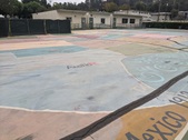 Enlarge photo 45