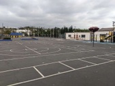 Enlarge photo 62