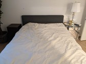 Enlarge photo 46