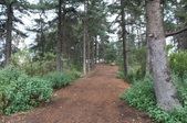 Enlarge photo 1
