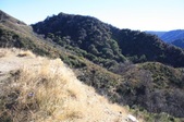 Enlarge photo 1