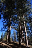 Charlton Flats