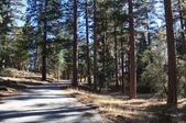 Enlarge photo 25