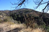 Enlarge photo 33
