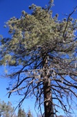 Enlarge photo 31