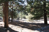 Mt. Baldy 3