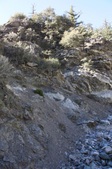 Enlarge photo 1