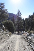 Enlarge photo 23