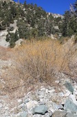 Enlarge photo 26