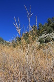 Enlarge photo 28