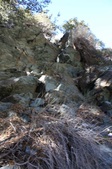 Enlarge photo 29