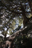 Enlarge photo 31