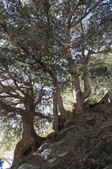 Enlarge photo 33