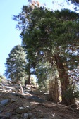 Enlarge photo 36