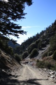 Enlarge photo 37