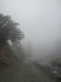 Enlarge photo 1