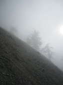 Enlarge photo 36