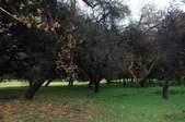 Enlarge photo 1