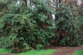 Enlarge photo 25