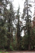Enlarge photo 30