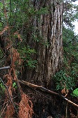 Enlarge photo 29