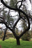 Enlarge photo 33