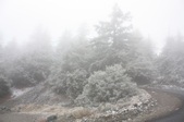 Enlarge photo 1
