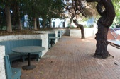Enlarge photo 27