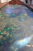 Enlarge photo 29