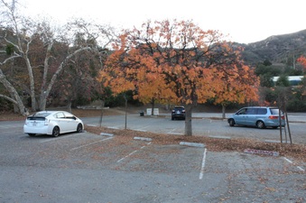 Enlarge photo 2