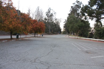 Griffith 1