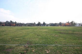 Rose Bowl Lawn