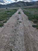 Enlarge photo 25
