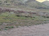Enlarge photo 34