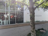 Enlarge photo 57
