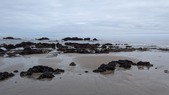Enlarge photo 35