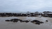 Enlarge photo 36