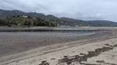 Enlarge photo 44