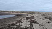 Enlarge photo 51