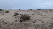Enlarge photo 53